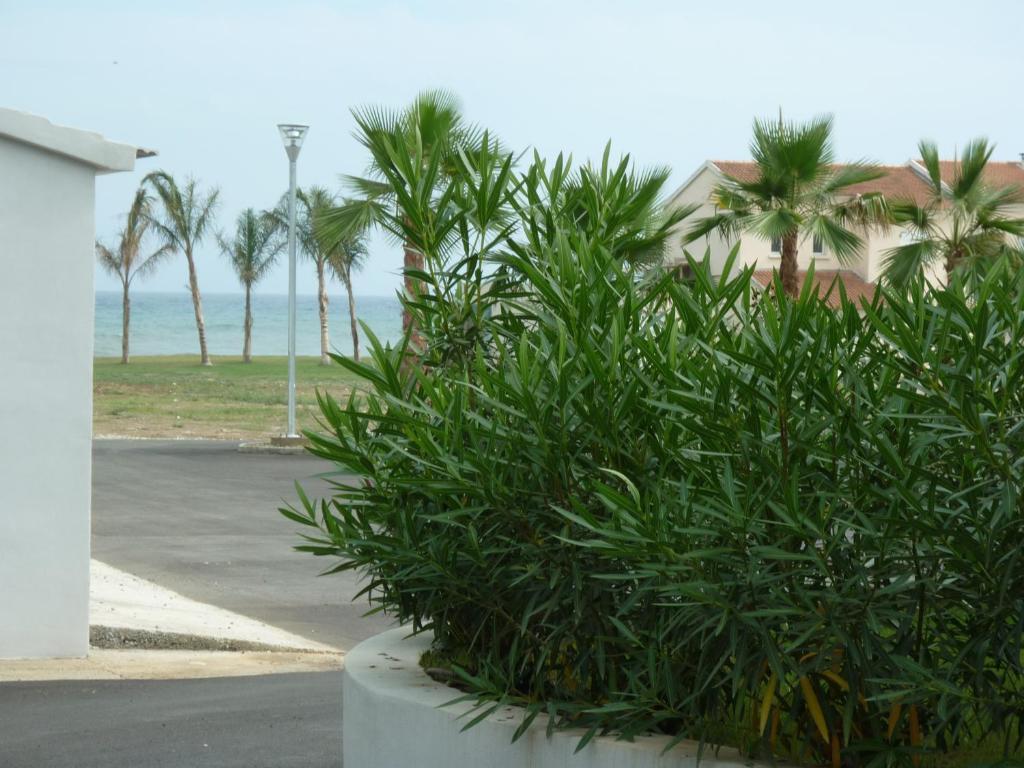 Residence Marea Resort سانتا لوسيا دى مورياني المظهر الخارجي الصورة